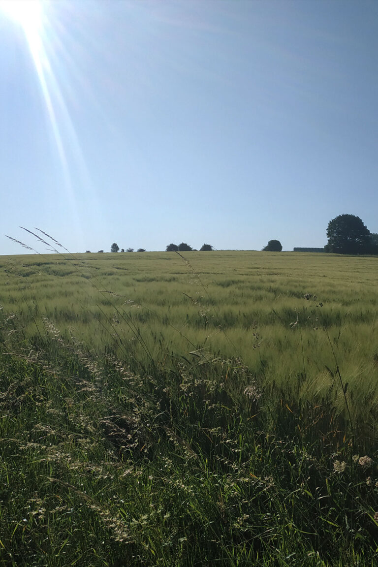 hagen_05