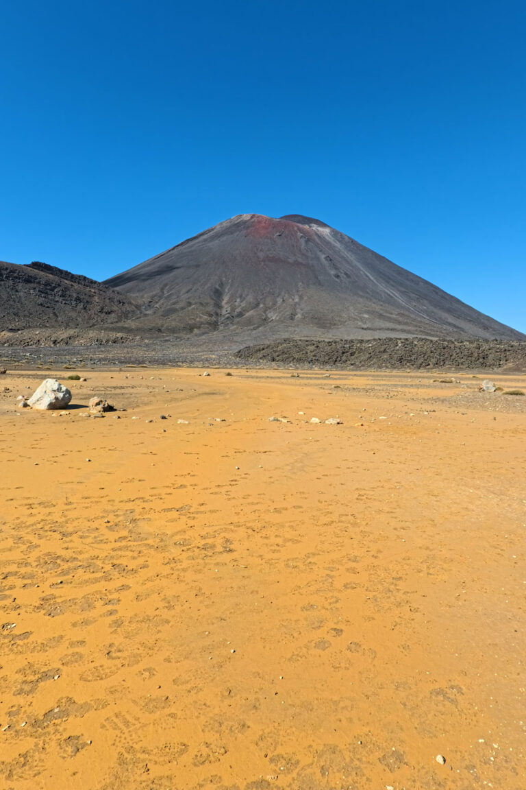 tongarine_04