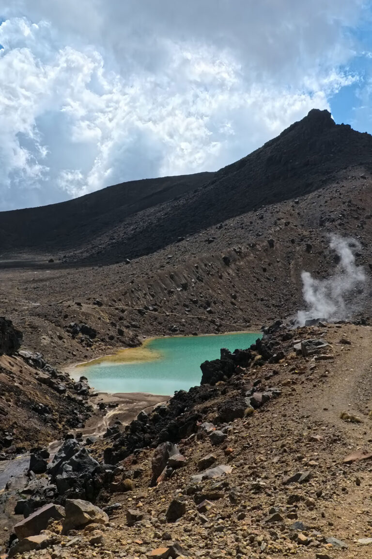 tongarine_05