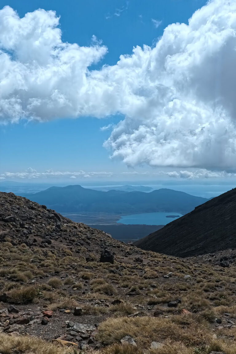 tongarine_08